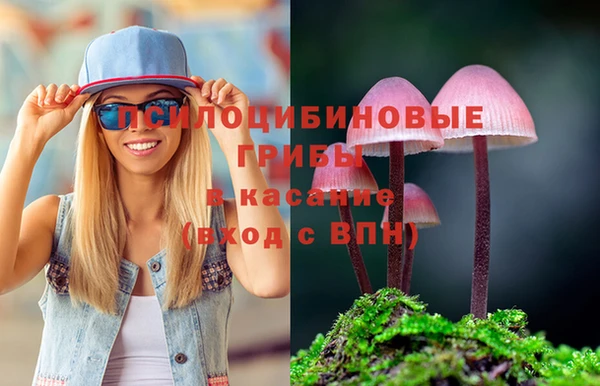 ГАЛЛЮЦИНОГЕННЫЕ ГРИБЫ Покачи