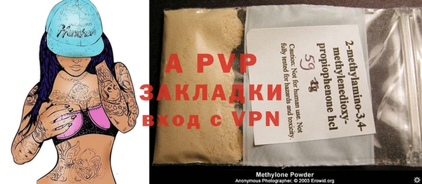 ГАЛЛЮЦИНОГЕННЫЕ ГРИБЫ Покачи