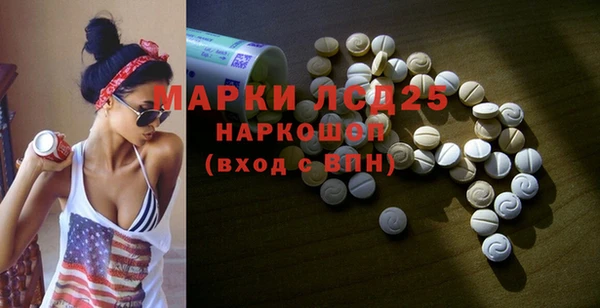 ГАЛЛЮЦИНОГЕННЫЕ ГРИБЫ Покачи