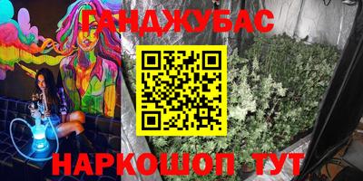 сатива Абакан