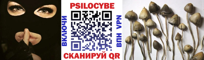 Псилоцибиновые грибы Psilocybe  Алатырь 