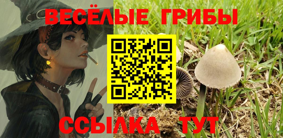 купить   Вход с VPN  Алатырь  Галлюциногенные грибы Psilocybe 