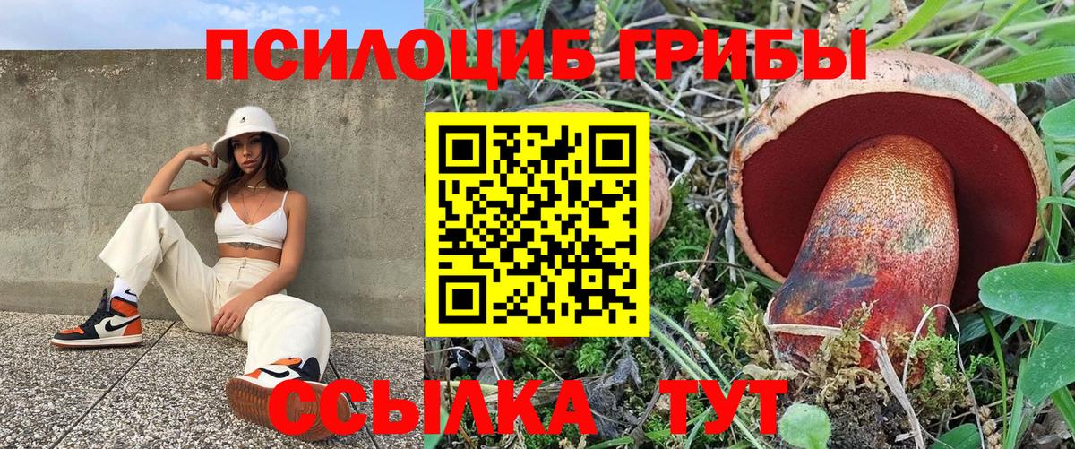 Псилоцибиновые грибы прущие грибы Алатырь