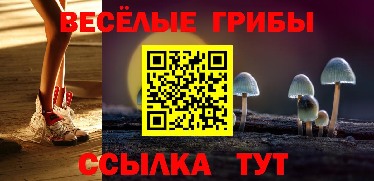 Галлюциногенные грибы GOLDEN TEACHER  Алатырь 